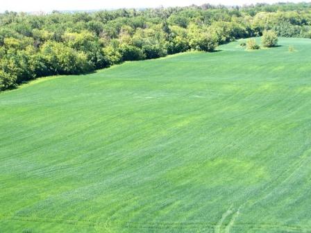 Крестьянская радость