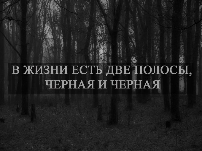 Милый мой! Сколько боли и муки...