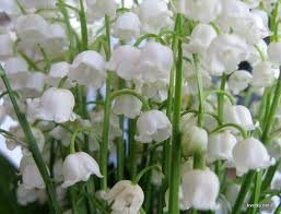 В уютном месте