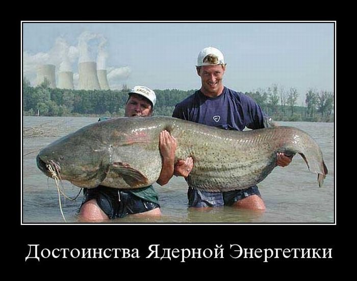 Сом - тяжёл... под фото подпись