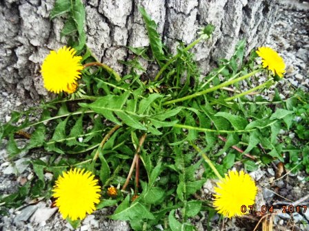 Есть любовь на свете