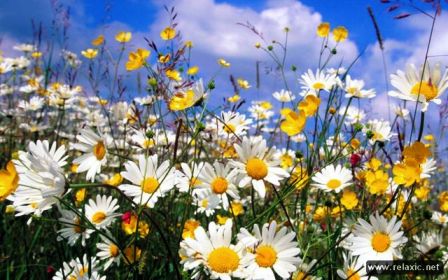 Мгновения в Вечность превращаем