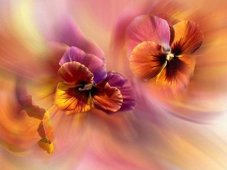 Карельской поэтессе...