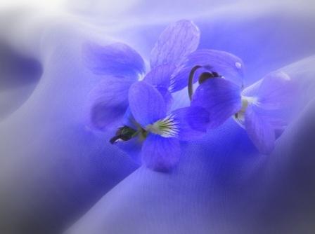 Как родилась поэзия в тебе?