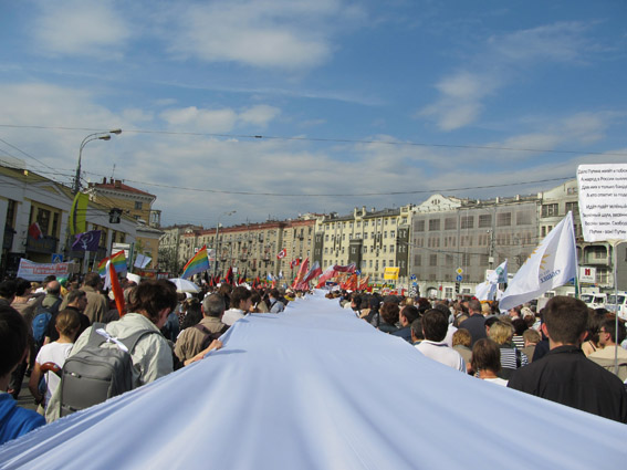 Белоленточный червь