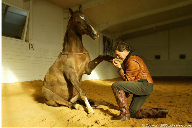 Загадка для эрудитов 210. Рана на ноге