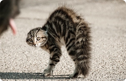 Притча о Любви Уродливый