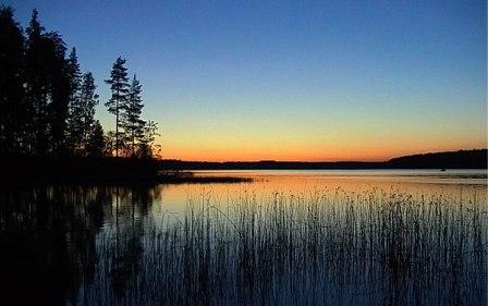 Вижу, губы твои тронула улыбка...