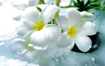 Любовь приходит не ко всем...