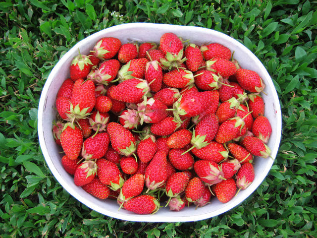 Летнее настроение!