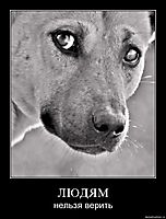 Притча о жестоком гуманизме