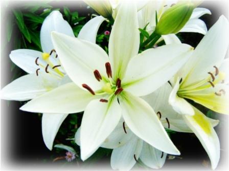 А что, скажи, мы знаем о любви?