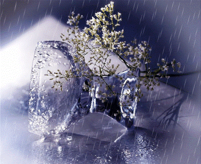 Подари мне немую прохладу