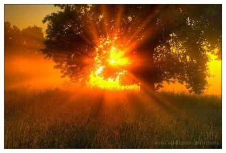 Благословляю, как иконой...