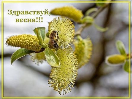 Цветень-май