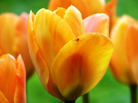 Ох, эти женщины!