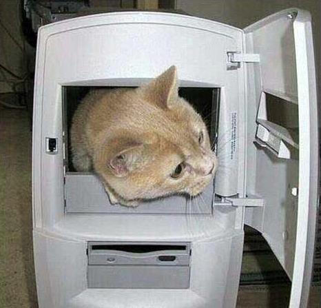 Замуровали