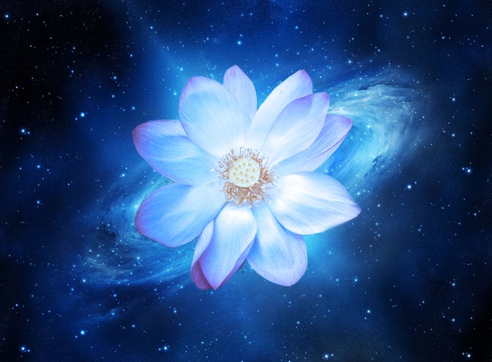 Учение - по Сказу. Начало