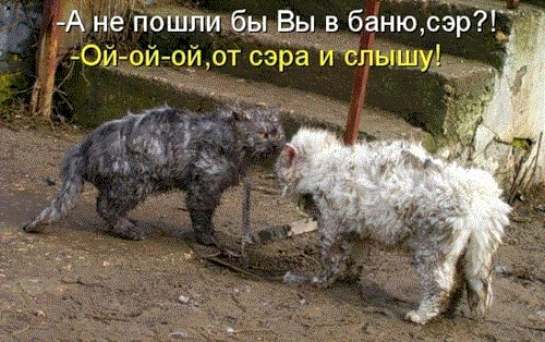 Разговор по душам