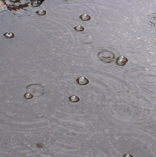 Летний дождик!