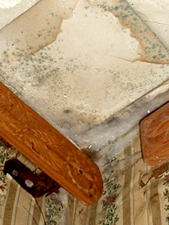 Бьют Ермилку по затылку (Виноградова Евленья) / Стихи.ру