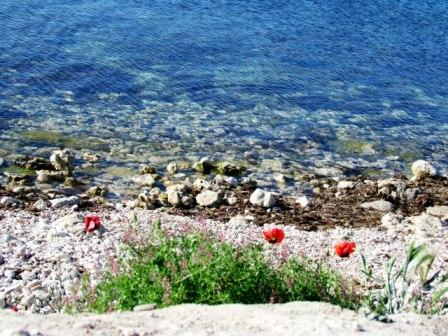 сладко-черноморское