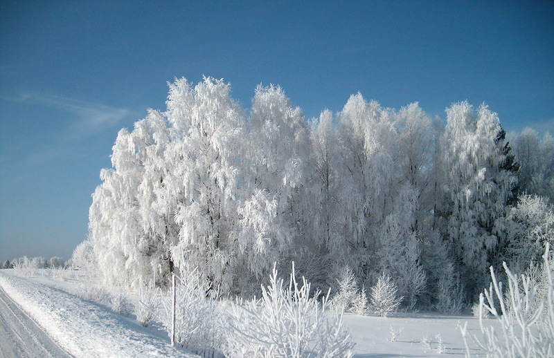 Spring - before long. The haikai cycle