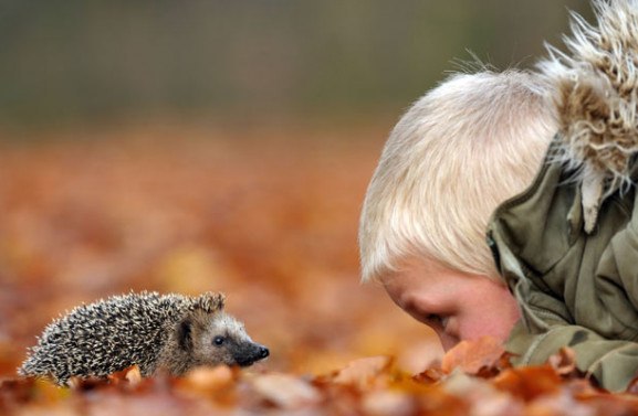 Реалность и сказка про змея Горыныча