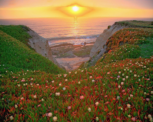 Нет рая на земле