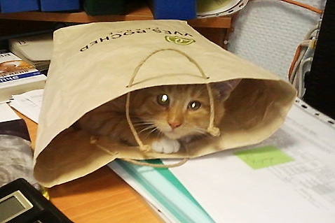 Секрет в пакете!