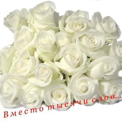К ногам твоим, благоуханья рай