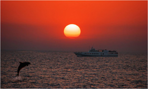 С тонкой ноткой печали