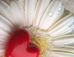 Баллада о Чужой Любви...