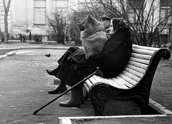 Моим родителям