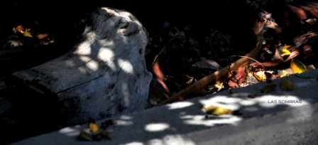 Хрупкое Ничто, фото я делала