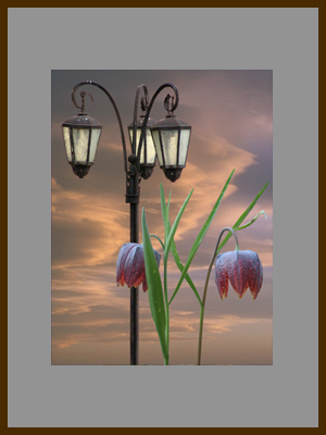 Конкурс Три грани таланта-2 Регламент