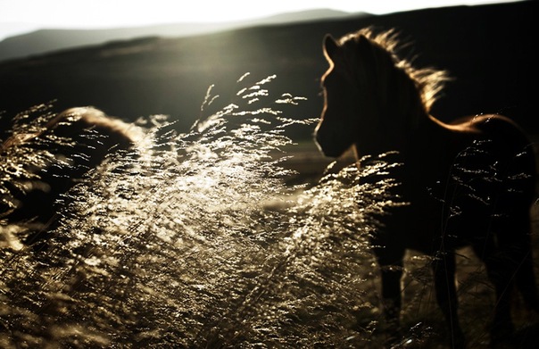 Не уходи так. Не исчезай вмиг