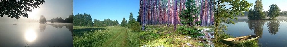 Природы вернисаж