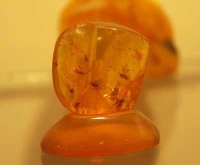 Янтарь инклюзия