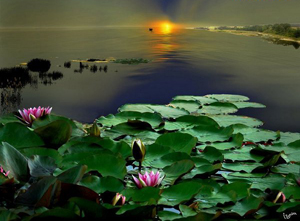 Паруса речных флотилий