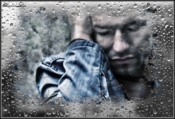 О стихах и поэтах