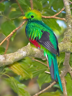 Любовь так близко...