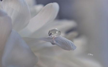 Мы часто о чуткости спорим...