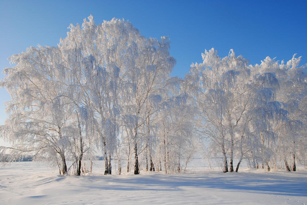 https://stihi.ru/pics/2012/07/04/6298.jpg