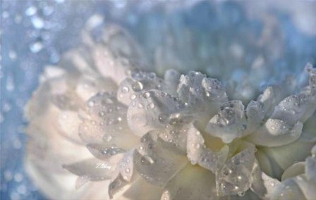 Друзья, мы мир воспринимаем