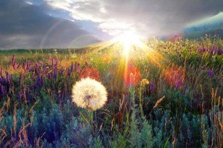 Может быть, когда-нибудь мы встретимся с тобой