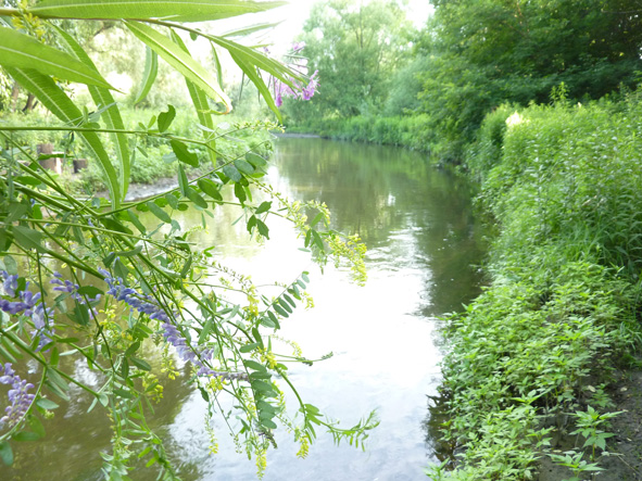 ЛЕТО! ЛЕТО! фото автора