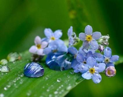 Вернулся вновь ты ручейками слез...