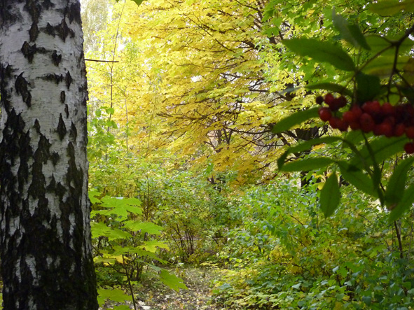Женись на моей мамке! Дню Семьи