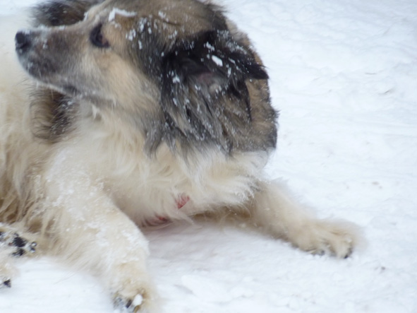 Дорогой! Сходи за хлебом! Дню Семьи